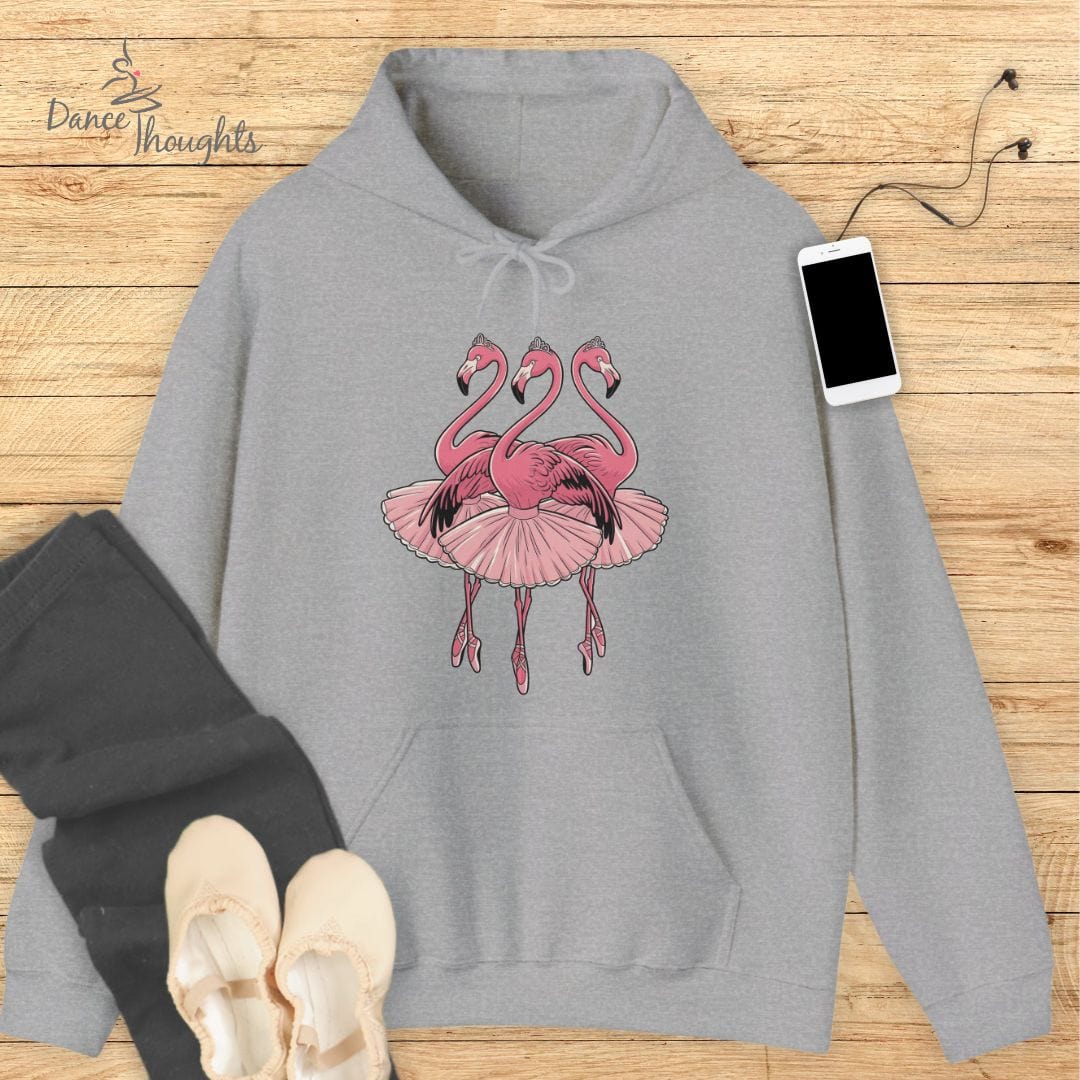 Ballerina Flamingos Hoodie